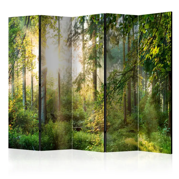 Ungestüme Natur II - Waldlandschaft vor Sonnenstrahlen