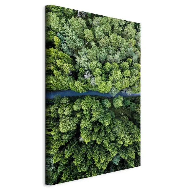 Straße durch den Wald vertikal