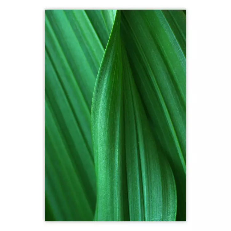 Blattstruktur - Komposition mit Pflanzenmotiv in grüner Farbe