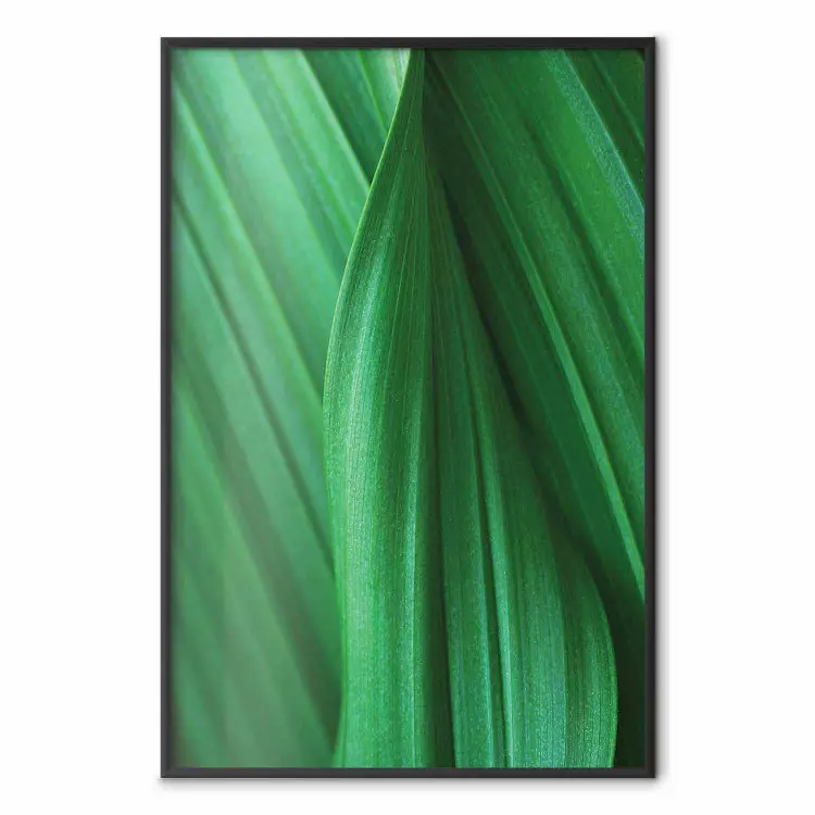 Blattstruktur - Komposition mit Pflanzenmotiv in grüner Farbe