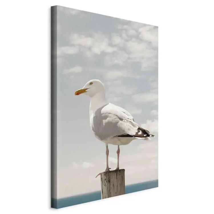 Der Beobachtervogel - Möwe vor Meer und bewölkten Himmel