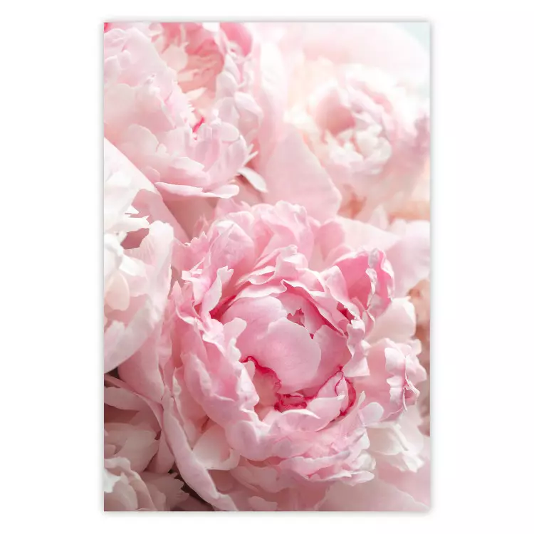Nostalgie des Morgens - Pflanze mit rosa Blüte in pastellfarbenem Ton