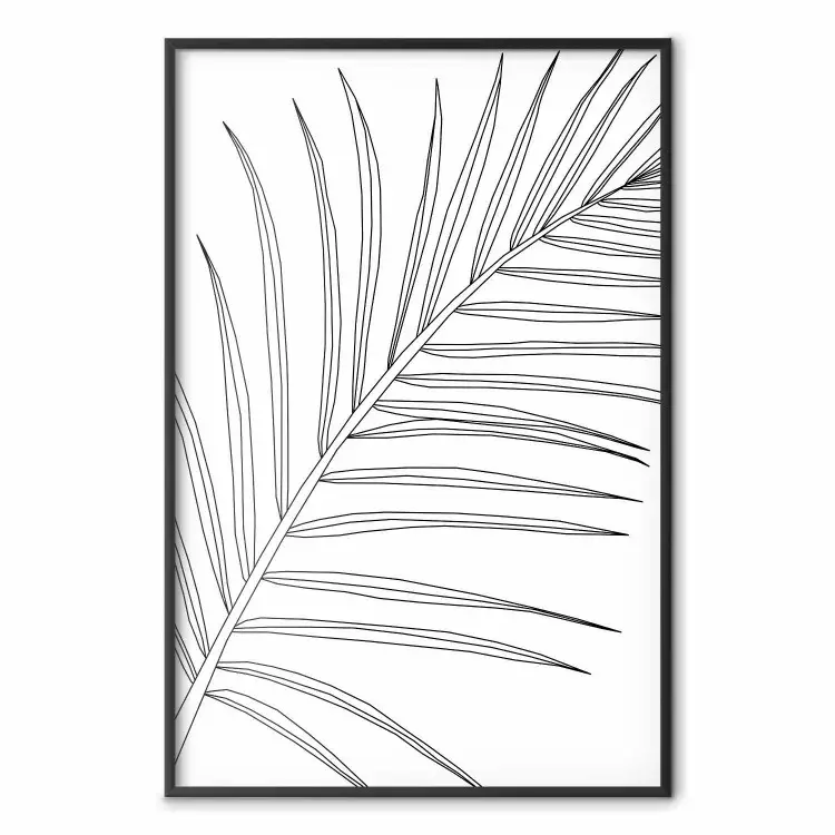 Schwarz-weißes Palmblatt - Linienkunst auf weißem Hintergrund
