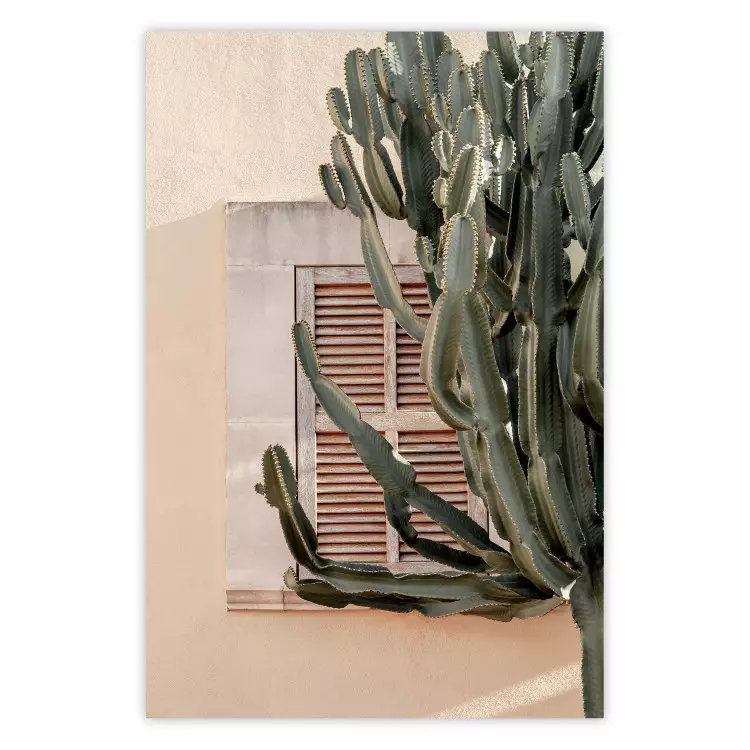 Grüne Stacheln - Komposition mit tropischer Pflanze vor Architektur