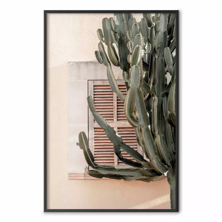 Grüne Stacheln - Komposition mit tropischer Pflanze vor Architektur