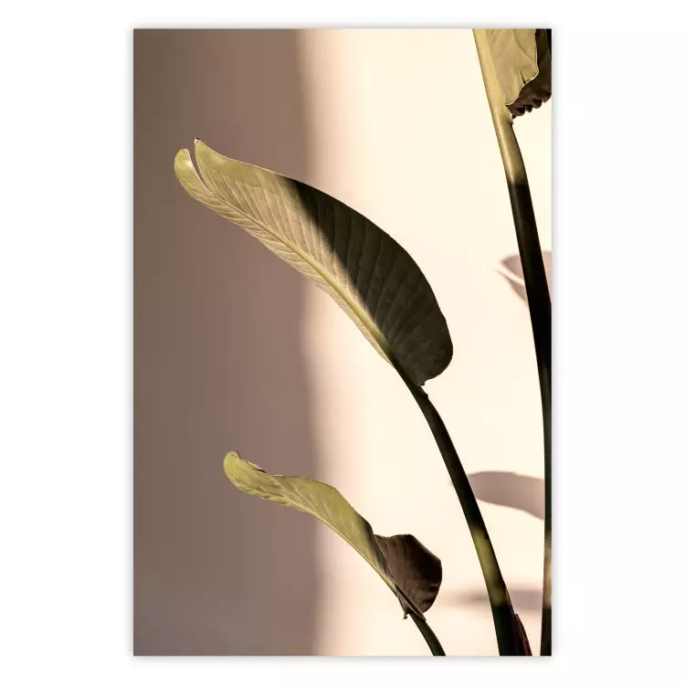 Sonniger Rhythmus - Komposition mit Pflanzenblättern