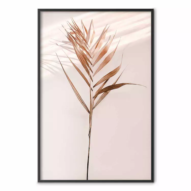Exotischer Schatten - Pflanze vor einfarbiger Wand