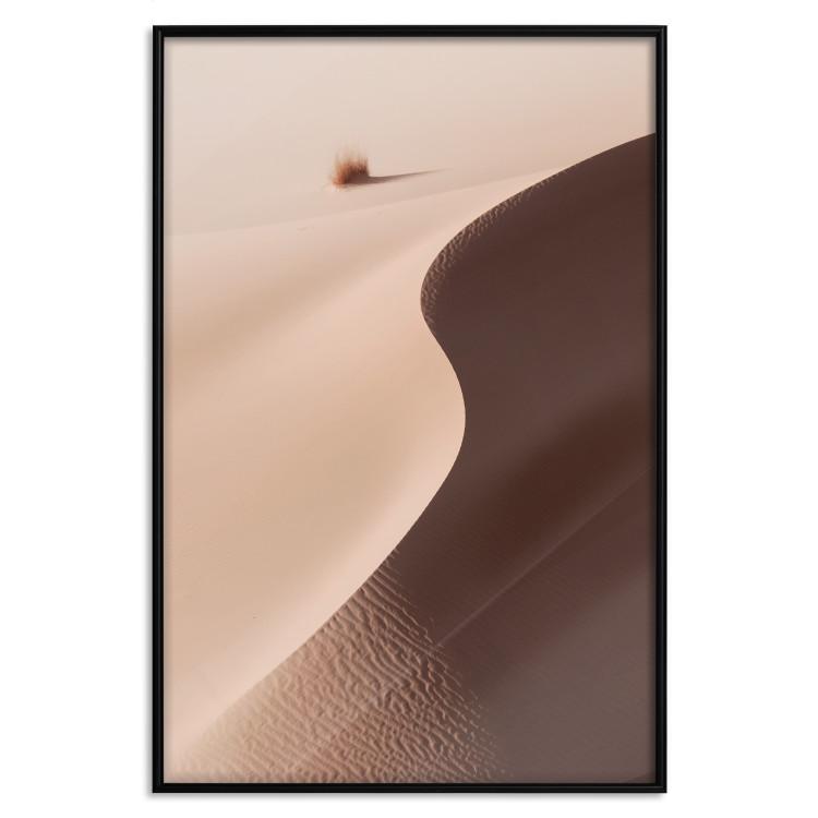 Serpentine - Ruhige Landschaft von Dünen in der Wüste vor braunem Gras