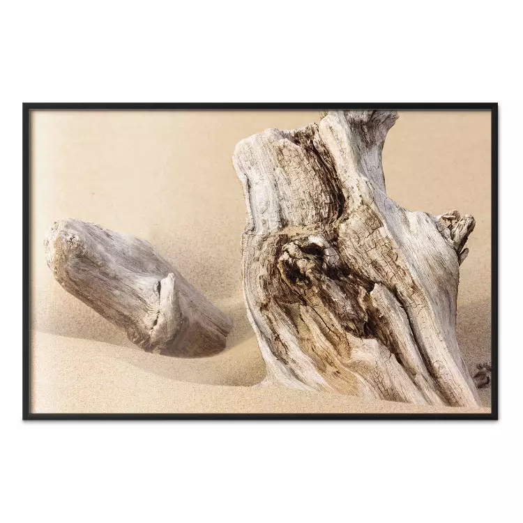 Offenbarte Vergangenheit - Strandlandschaft mit Holz
