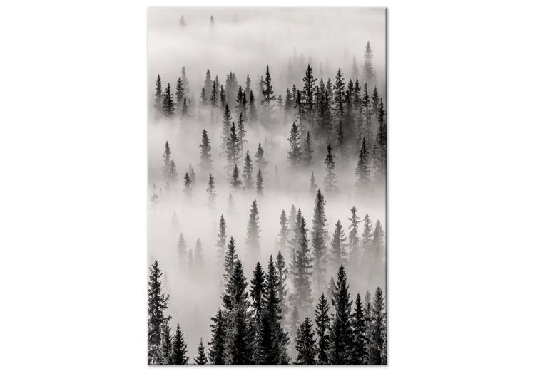 Urwald (1-teilig) Hochformat - Nebliger dunkler Wald
