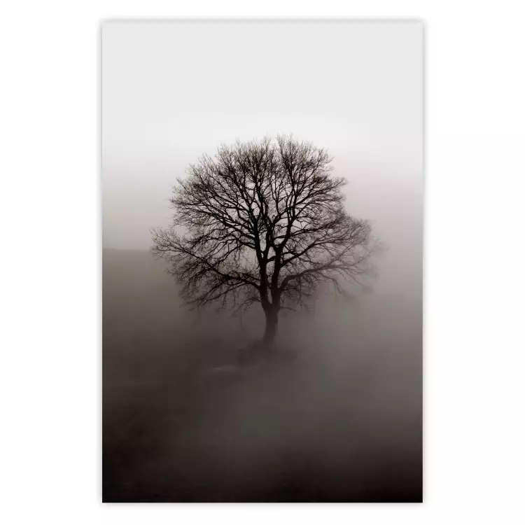 Die Kraft des Baumes - Baum im starken Nebel
