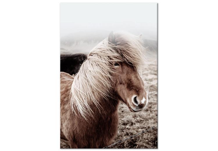 Gegen den Wind (1-teilig) Hochformat - Pferd in einem Porträtfoto