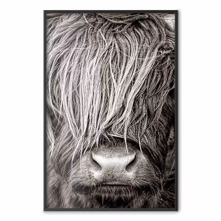 Angesichts der Natur - Schwarz-weißes Porträt eines Tieres mit Haaren