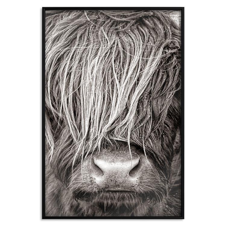 Angesichts der Natur - Schwarz-weißes Porträt eines Tieres mit Haaren
