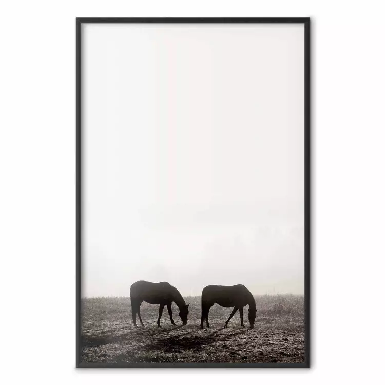 Morgenspause - Pferde auf Feld vor hellem Himmel