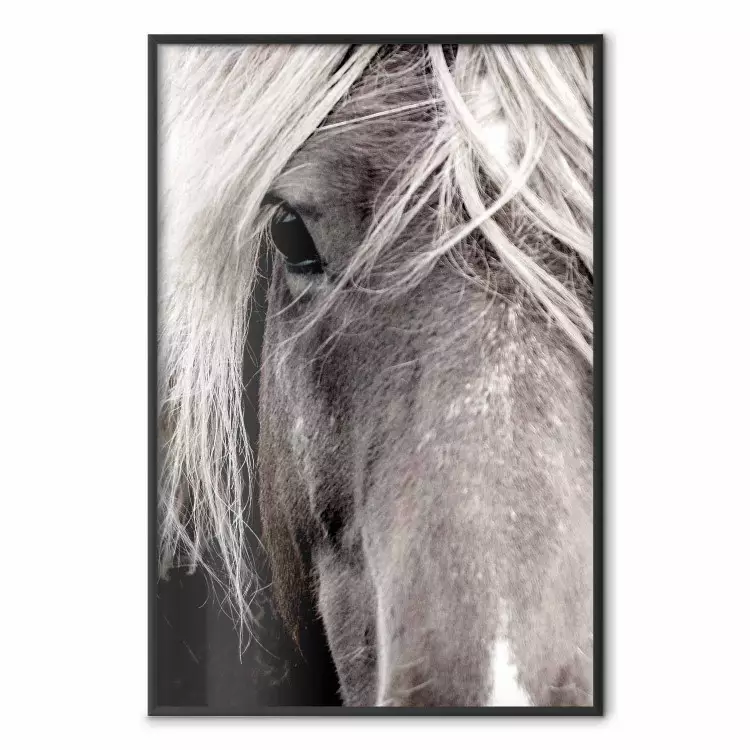 Freier Geist - Schwarz-weißes Pferdeporträt