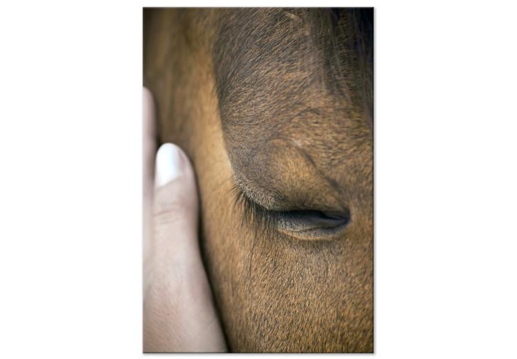Beruhigende Berührung (1-teilig) Hochformat - Hand und Pferd
