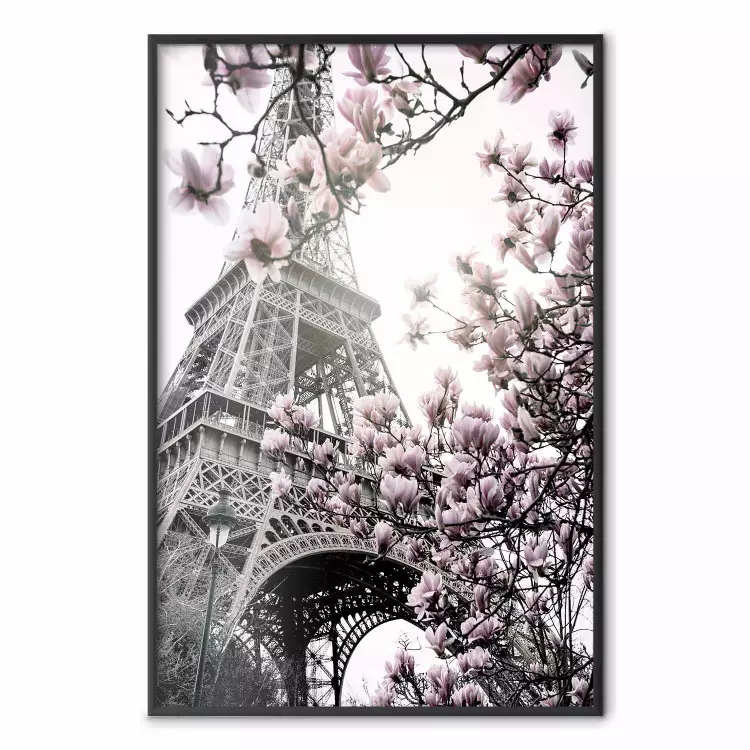 Magnolien in Paris - Rosa Blumen vor grauem Eiffelturm