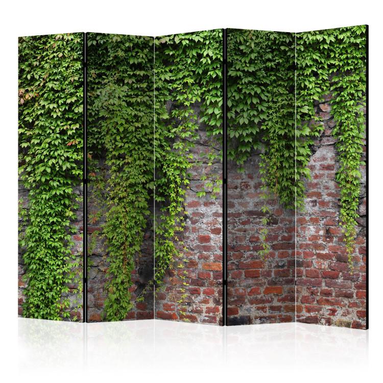 Paravent Brick and ivy II [Room Dividers]