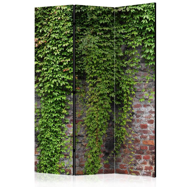 Paravent Brick and ivy [Room Dividers]