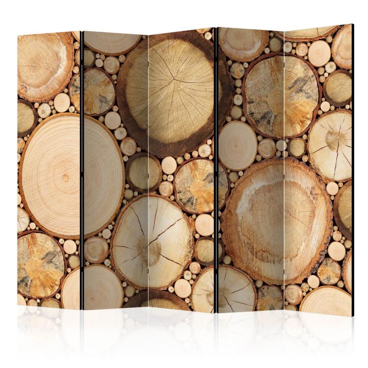 Paravent Wood grains II [Room Dividers]