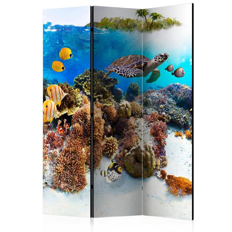 Korallenriff (3-teilig) - Bunte Fische und Pflanzen unter Wasser
