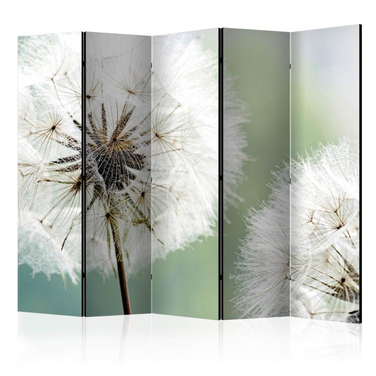 Paravent Two dandelions II [Room Dividers]