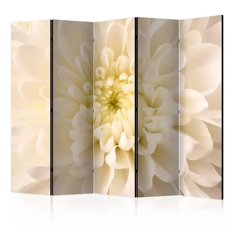 Weiße Dahlie II - Pflanzliche Komposition einer hellgelben Blume