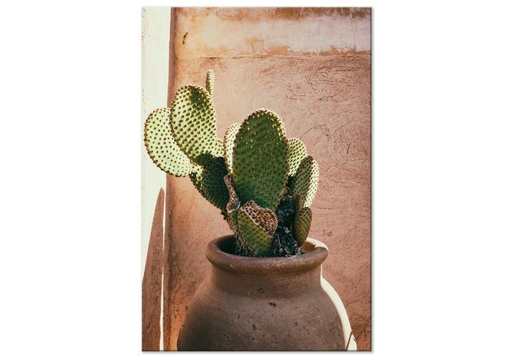Kaktus im Topf (1-teilig) Hoch - Grüne Pflanze in Marokko