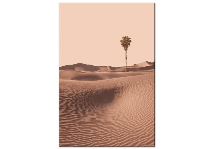 Wüstenvegetation (1-teilig) Hoch - Arabische Wüste in Marokko