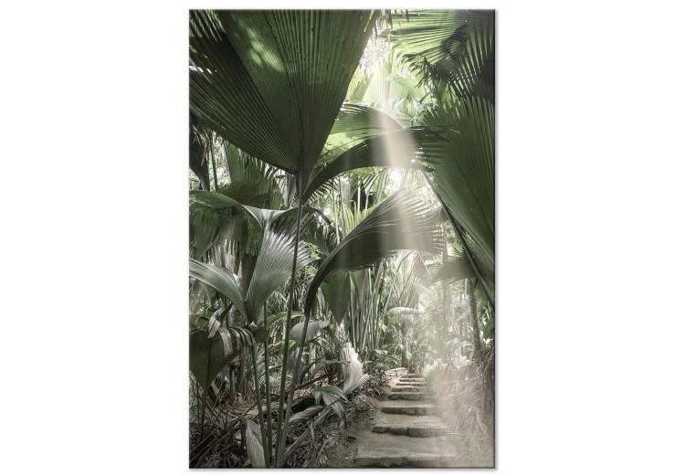 Lichtstrahl (1-teilig) Hoch - Tropische Pflanzenlandschaft