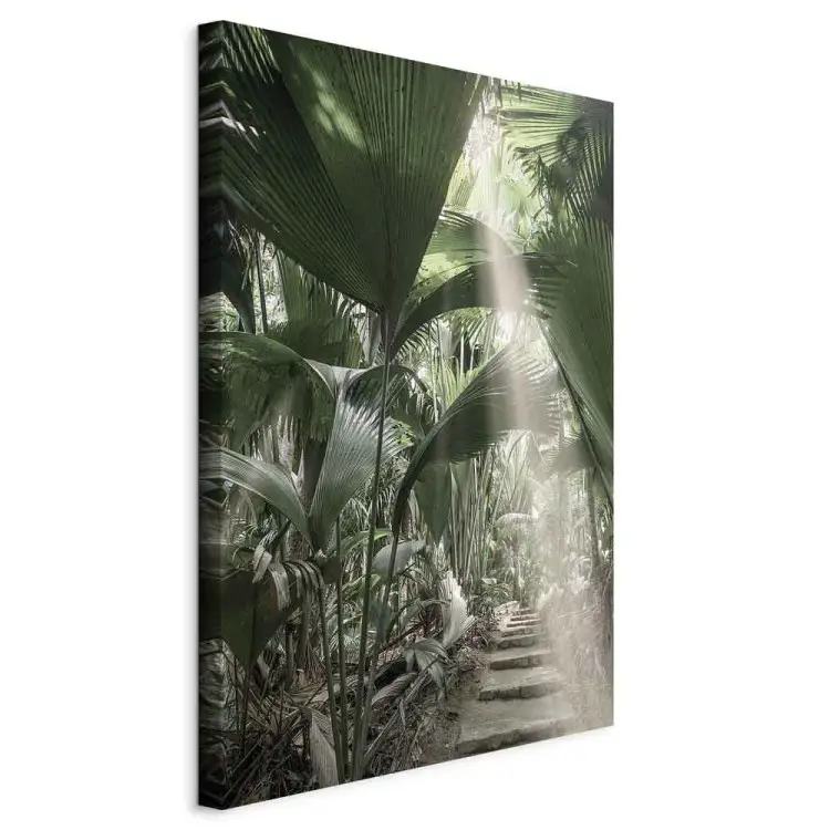Lichtstrahl Hoch - Tropische Pflanzenlandschaft