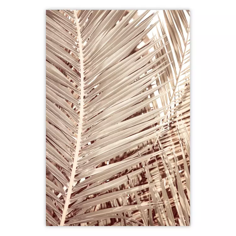 Beige Palme - Komposition tropischer Palmblätter in goldener Farbe