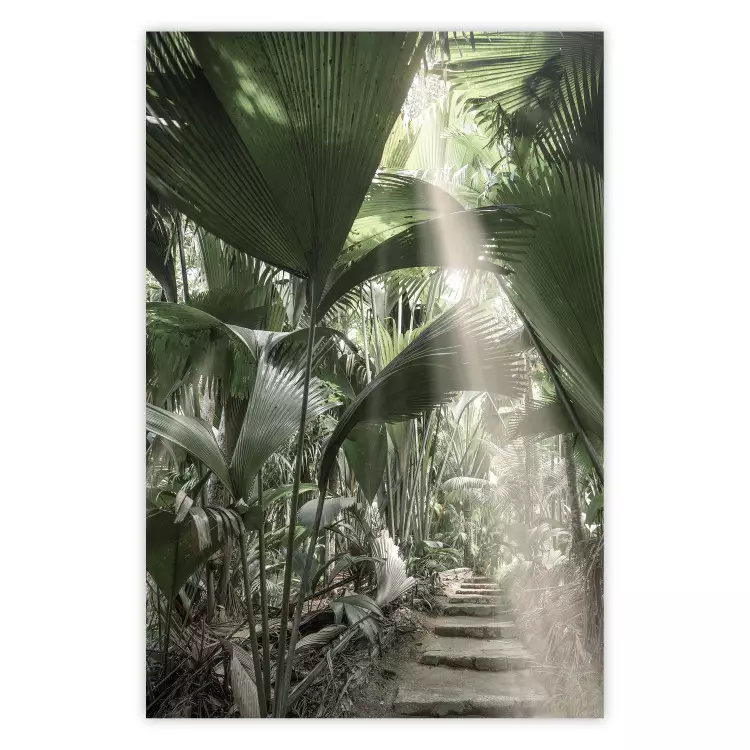 Lichtstrahl - Tropische Dschungelkomposition im Sonnenlicht