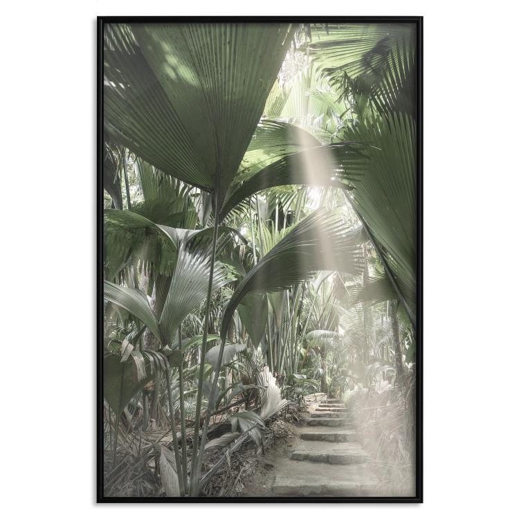 Lichtstrahl - Tropische Dschungelkomposition im Sonnenlicht