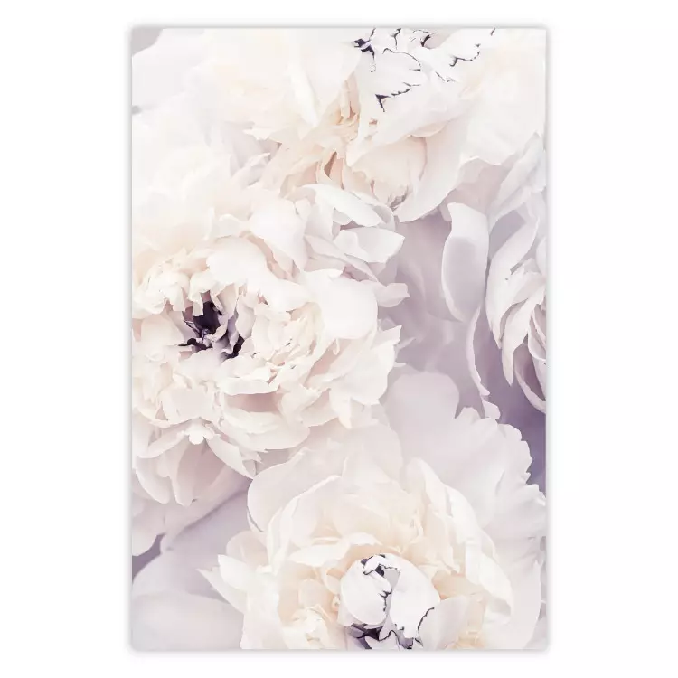 Vanille-Magnolien - Komposition von Blumen mit zarter lila Farbe