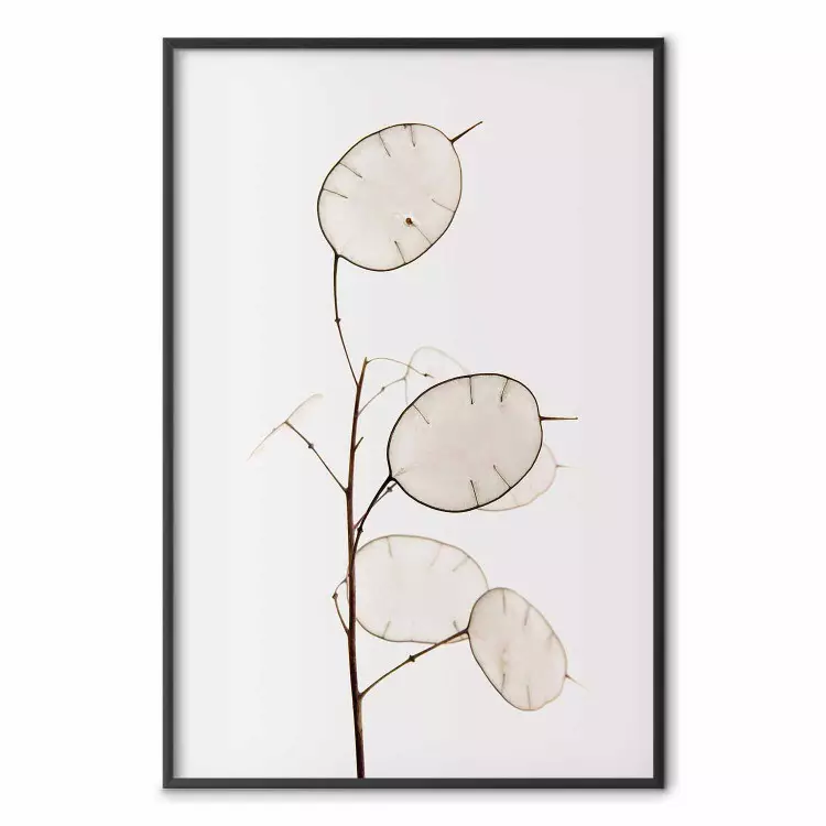 Sonnenrichtung - Helles Pflanzenmotiv auf weißem Hintergrund