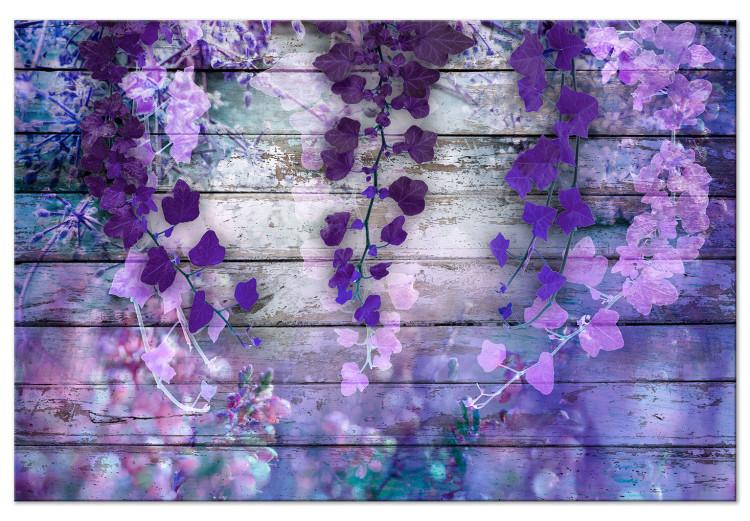 Lavendelzauber - Violette Blumen und Bretter im Hintergrund, Breit