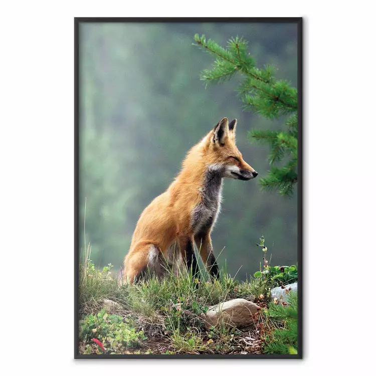 Rothirsch - Majestätisches wildes Tier im Wald
