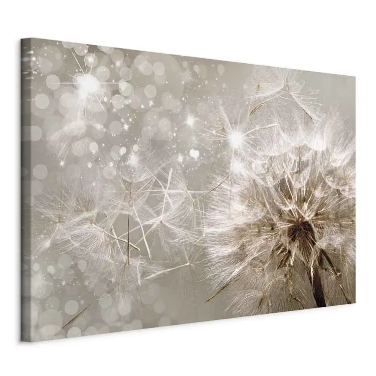 Im Glanz der Pusteblume - Pusteblumensamen im Wind