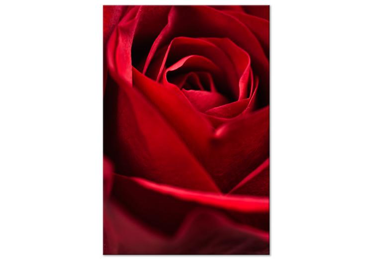 Rote Blume (1-teilig) - Nahaufnahme von zarten Rosenblüten