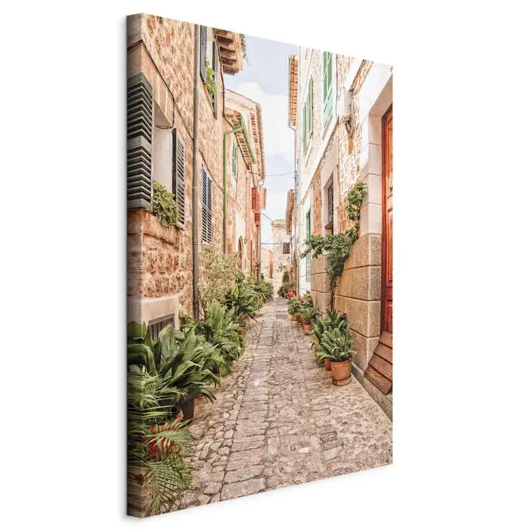 Stille Gasse - Blick auf eine spanische Stadt und Pflanzen