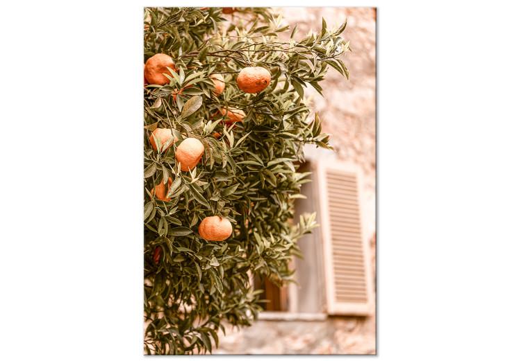 Städtische Früchte (1-teilig) - Mandarinenbaum vor einem Gebäude