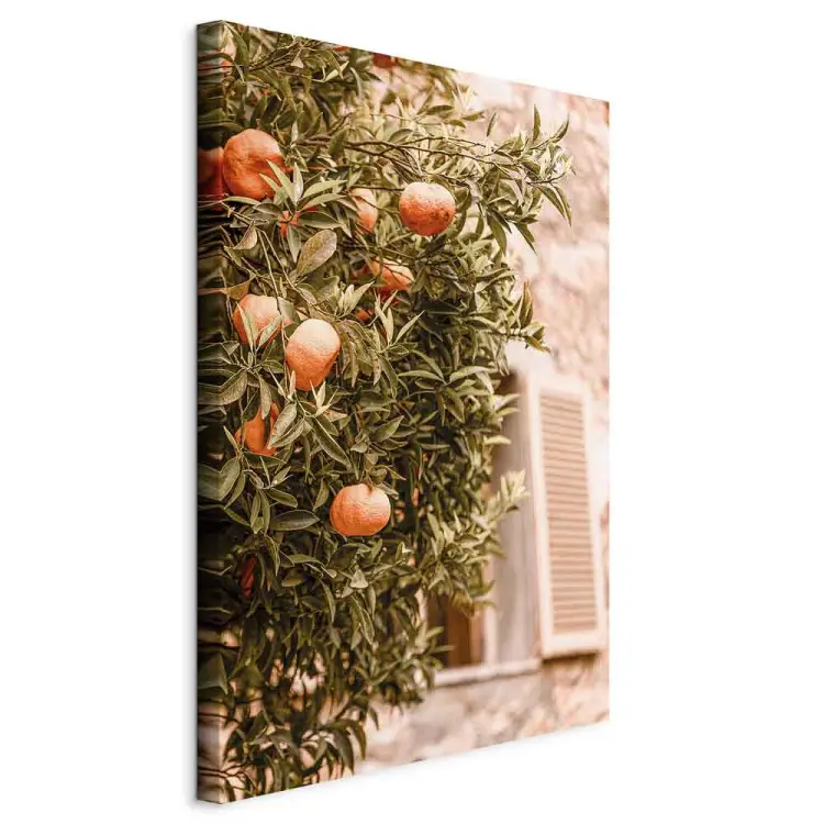 Städtische Früchte - Mandarinenbaum vor einem Gebäude
