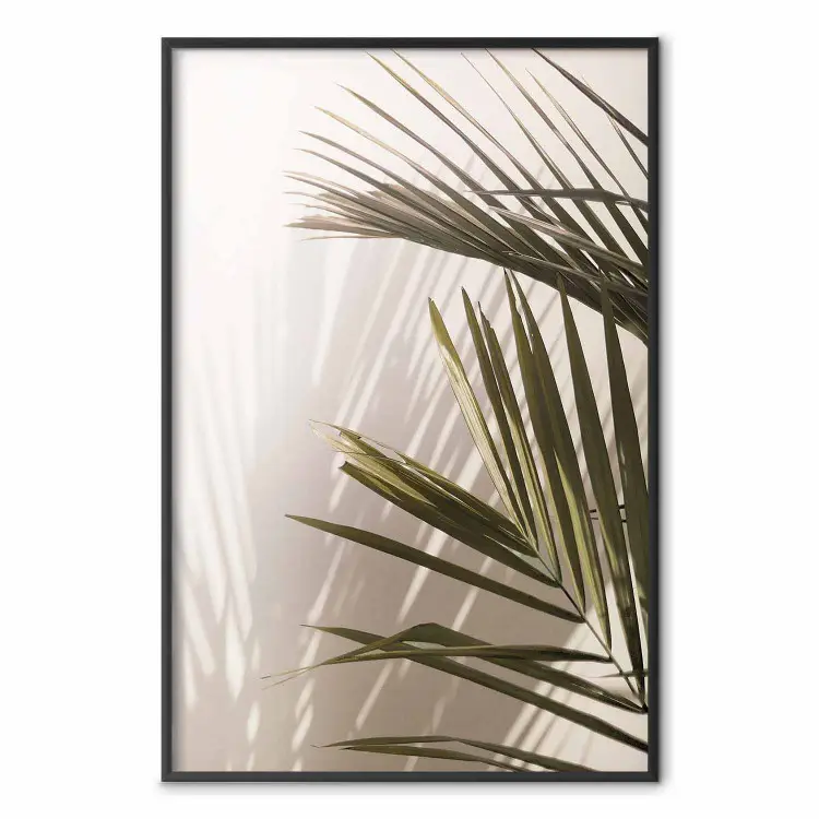 Palm Leaves - Sunny View With a Peaceful Play of Shade and Light