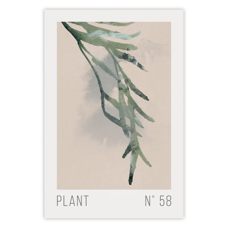 Plant Number 58 [Poster]