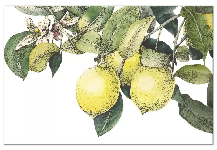 Zitronen und Blätter (1-teilig) - farbenfrohe Zitrusfrüchte am Baum