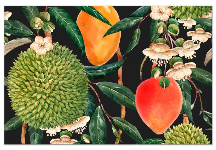 Exotische Früchte (1-teilig) - Tropische Pflanzen, schwarzer Hintergrund