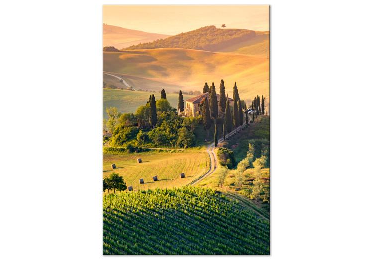 Sunny Fields of Tuscany - Landscape Photography at Sunset