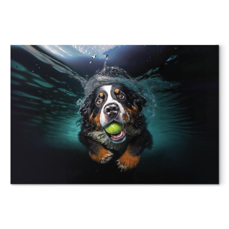 AI Bernese Mountain Dog - Floating Animal With a Ball in Its Mouth - Horizontal